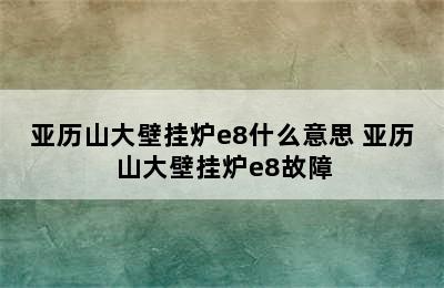 亚历山大壁挂炉e8什么意思 亚历山大壁挂炉e8故障